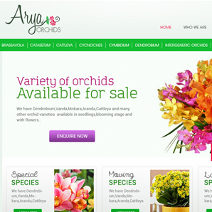Arya Orchids 